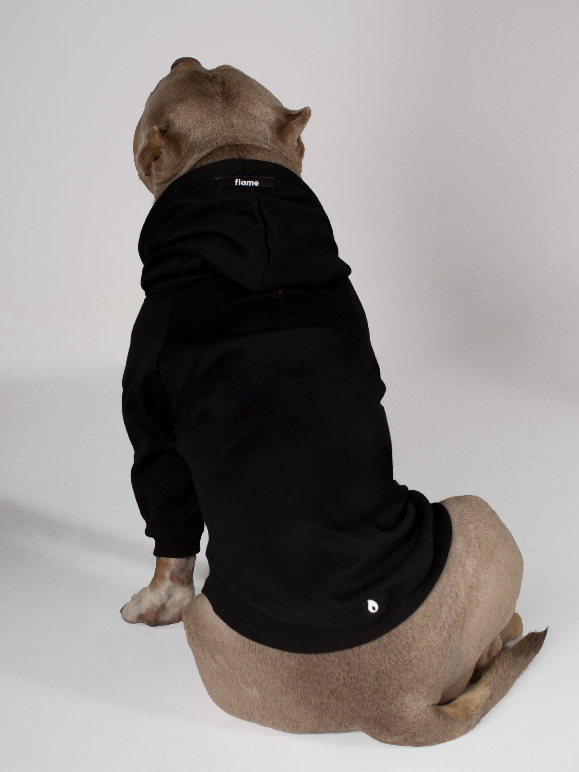 Ropa para perros