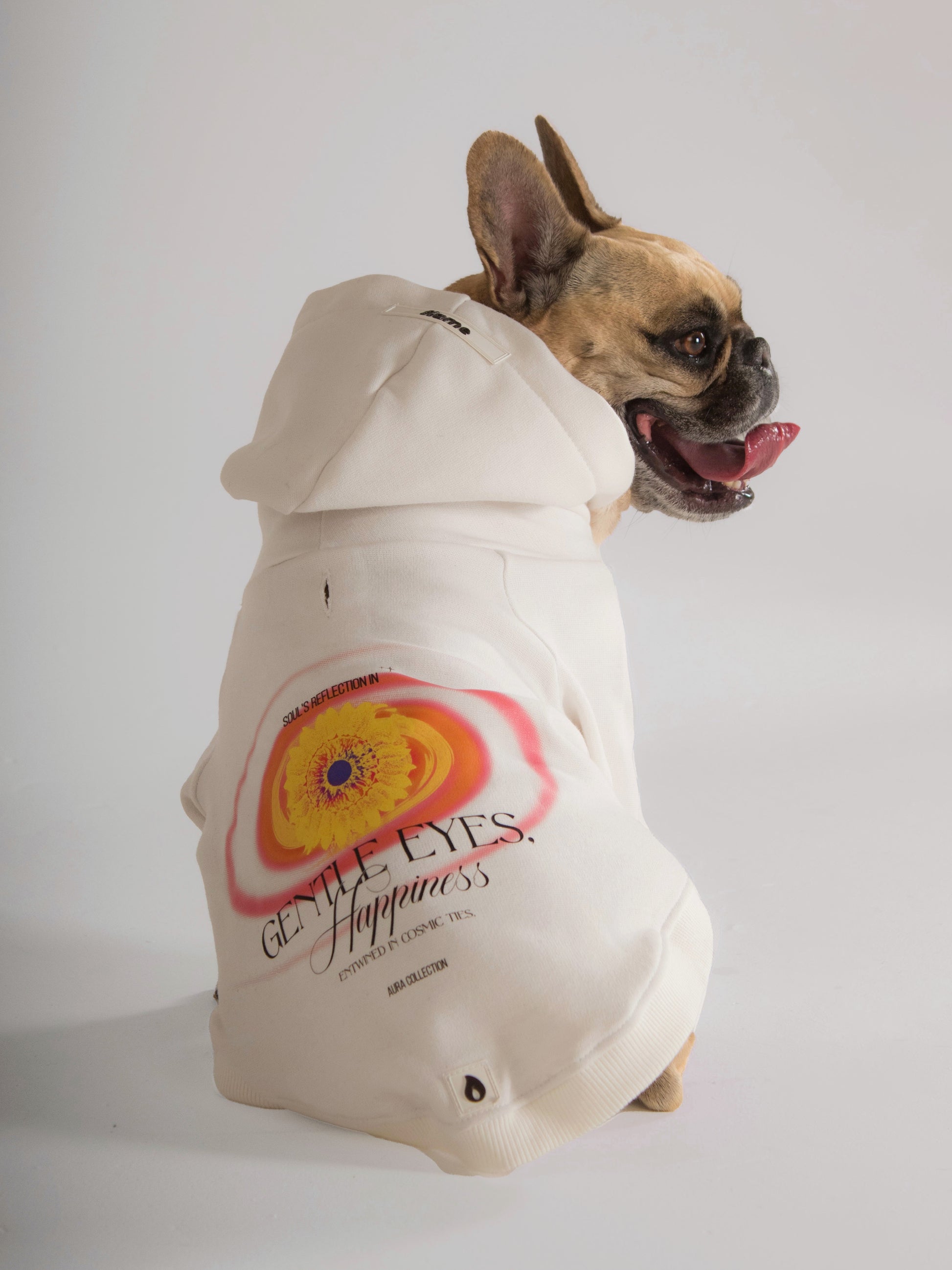 Ropa para perros