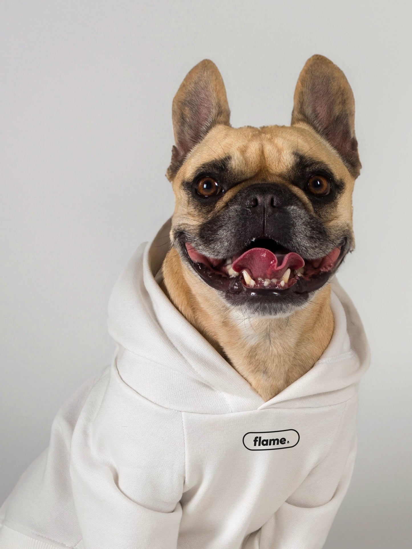 Ropa para perros y gatos